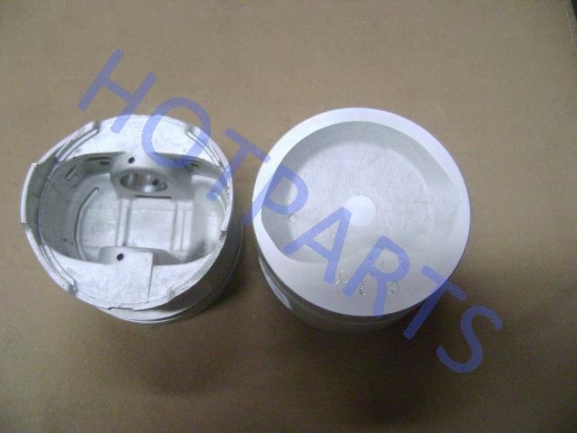 картинка ПОРШЕНЬ НОМИНАЛ 491 QE GW DEER, SAFE Euro-II  1004015-E00