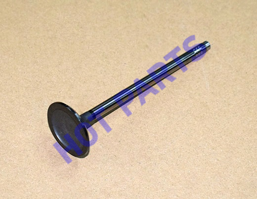 картинка КЛАПАН ДВС ВПУСКНОЙ M36T/T1A/T1D  F4J20-1007011
