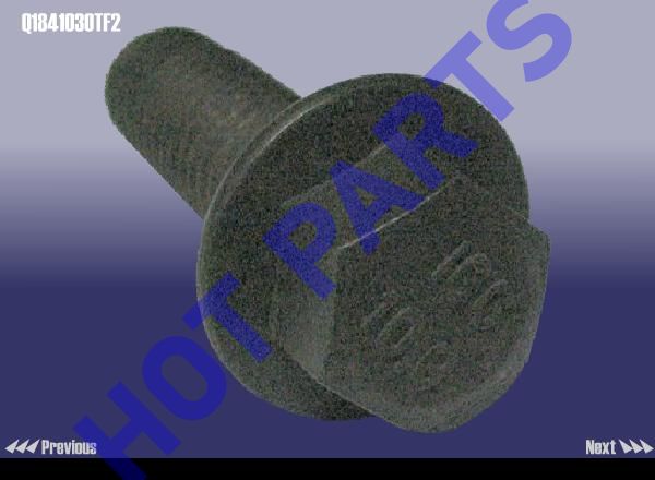 картинка BOLT  Q1841030TF2