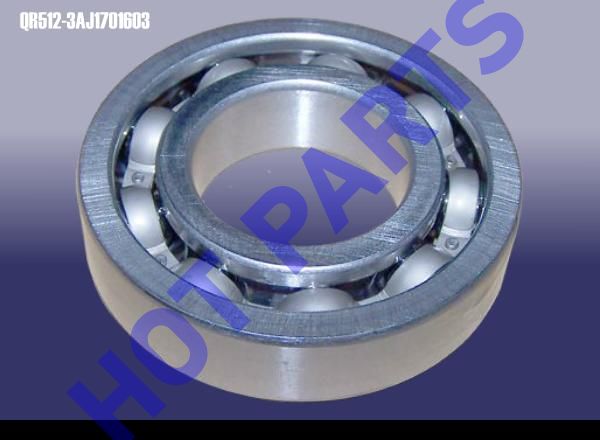 RR OIL SEAL-DIFFERENTIA