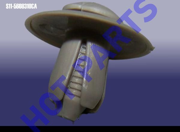 картинка ПИСТОН  S11-5608310CA